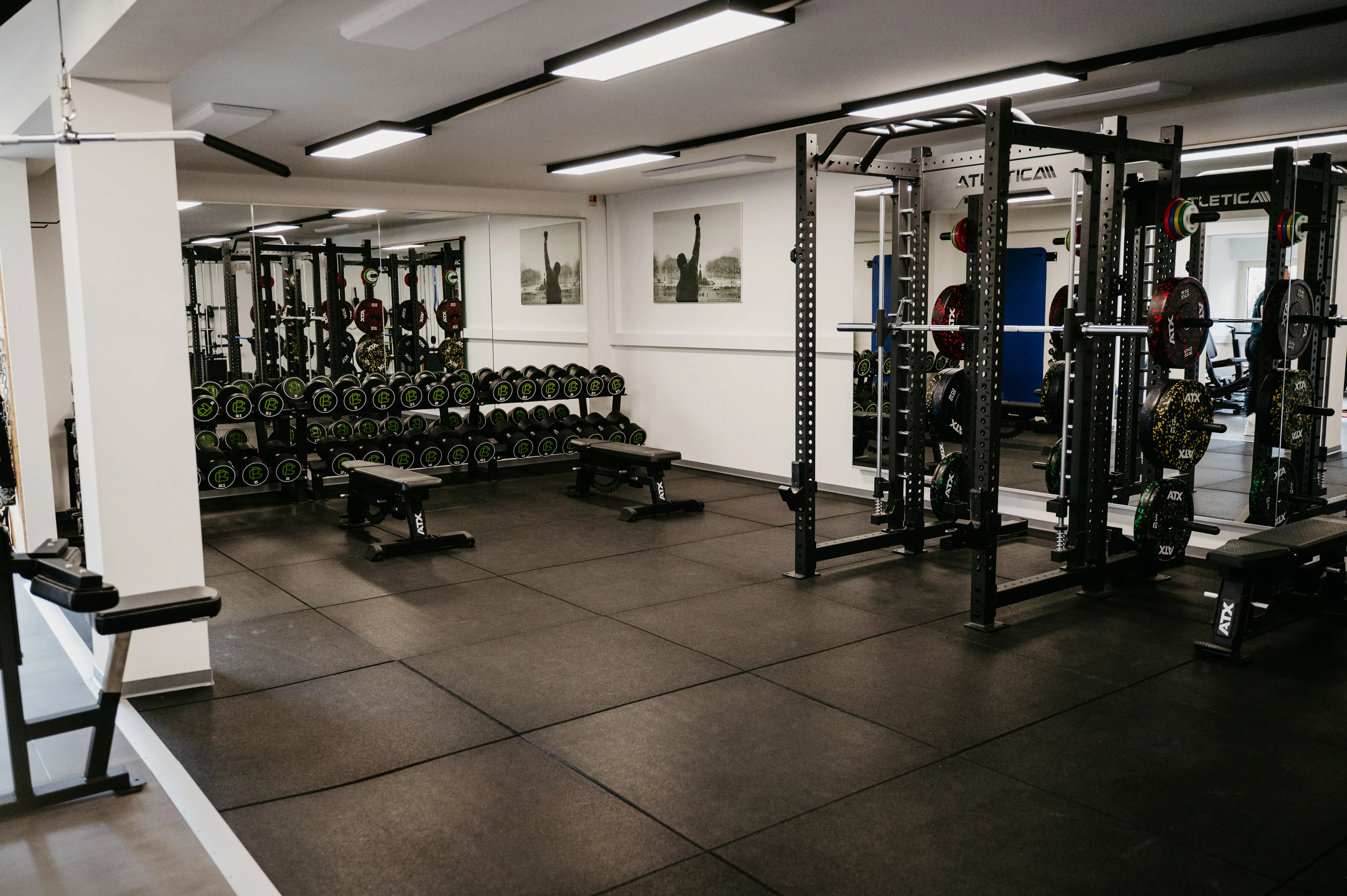 Bereich für freies Training. Verfügbar sind Kurzhanteln und Powerracks.